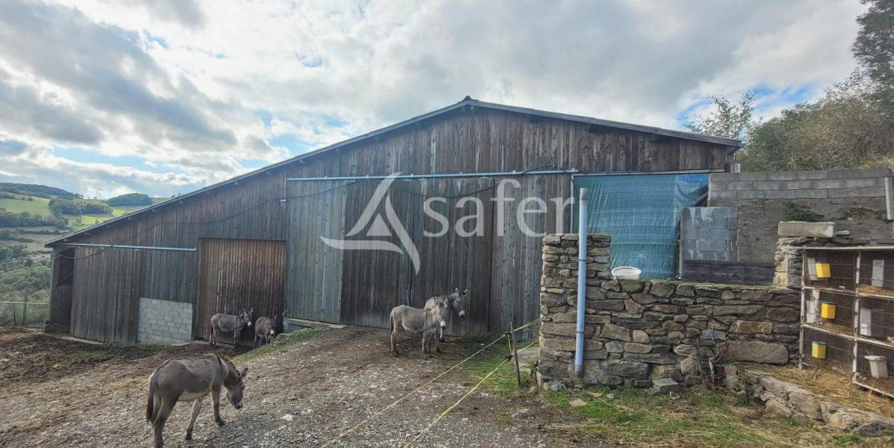 Azienda agricola In vendita Rhône