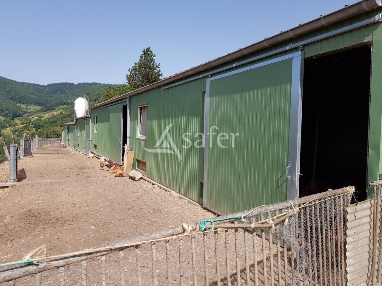 Azienda agricola In vendita Rhône