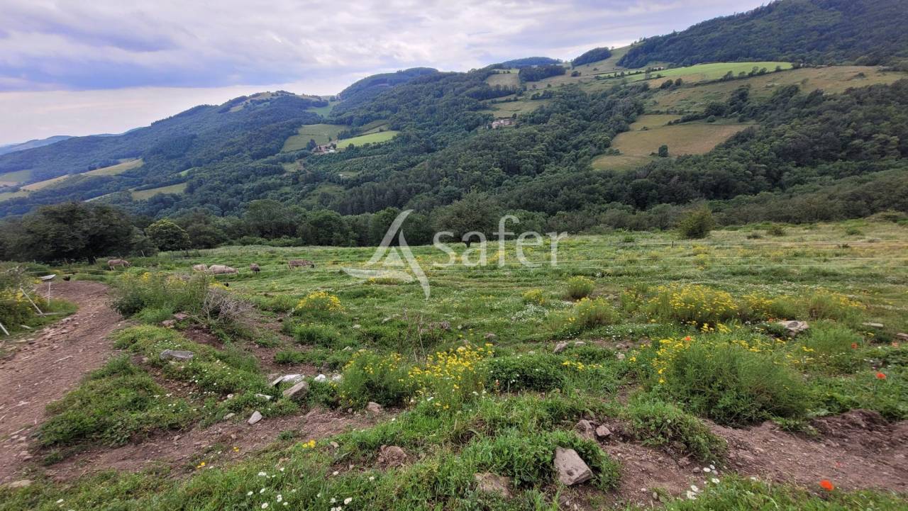 Azienda agricola In vendita Rhône