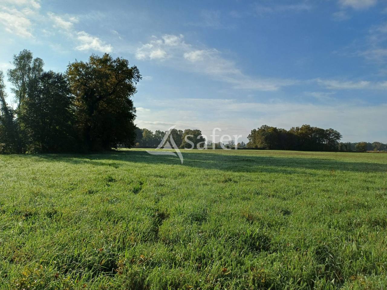 Azienda agricola In vendita Charente-Maritime