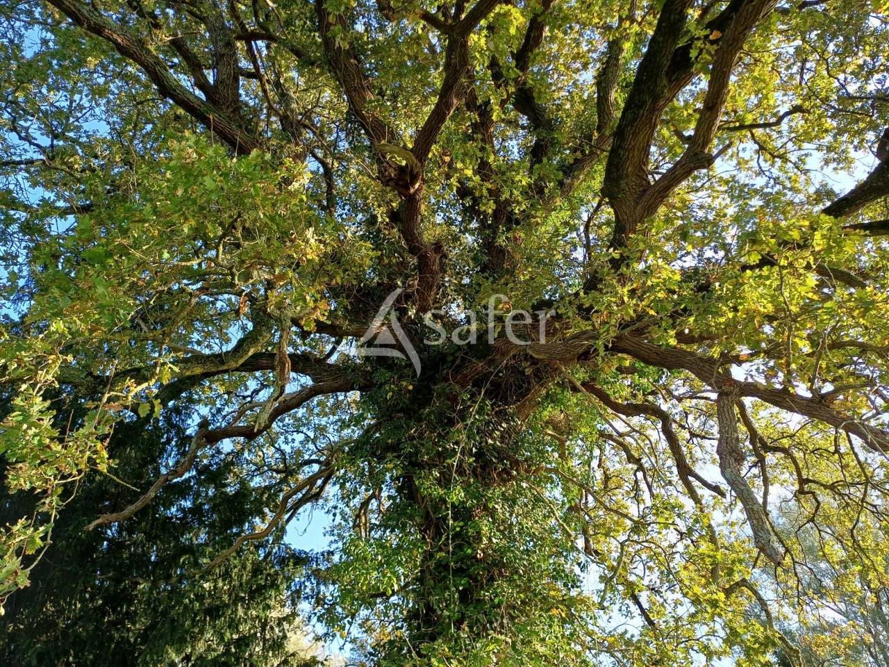 Azienda agricola In vendita Charente-Maritime