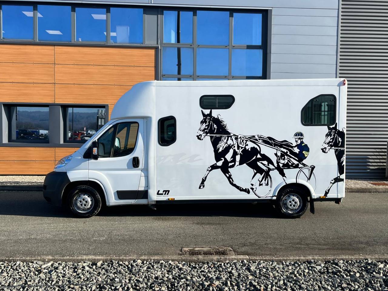 Van per Cavalli Theault VL BOXER THEAULT PROTEO 2014 Occasione