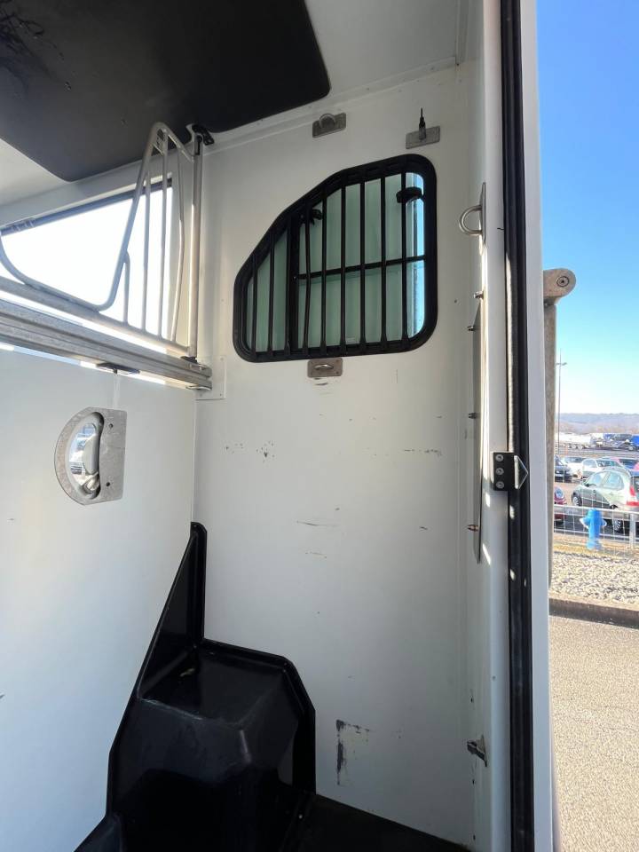 Van per Cavalli Theault VL BOXER THEAULT PROTEO 2014 Occasione