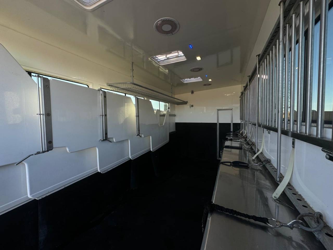 Camion per Cavalli - Altra marca - PAILLARD 2023 Occasione