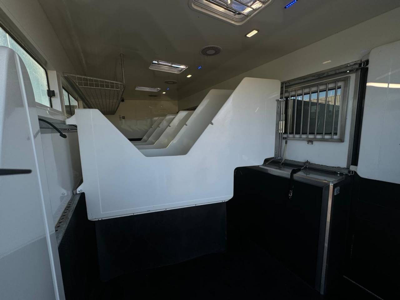 Camion per Cavalli - Altra marca - PAILLARD 2023 Occasione