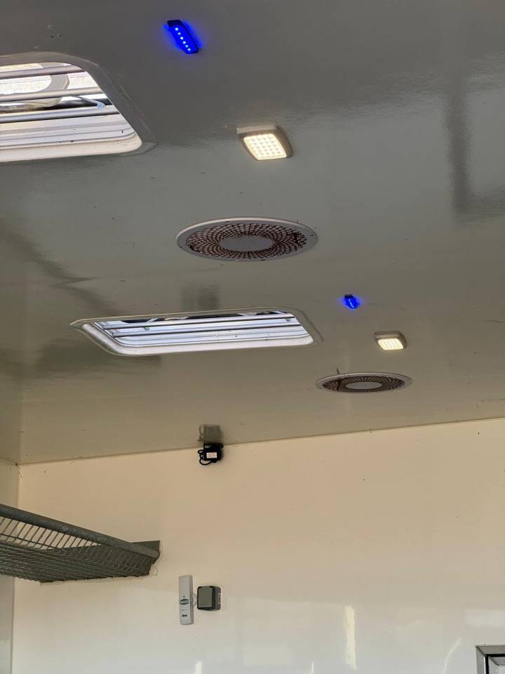 Camion per Cavalli - Altra marca - PAILLARD 2023 Occasione