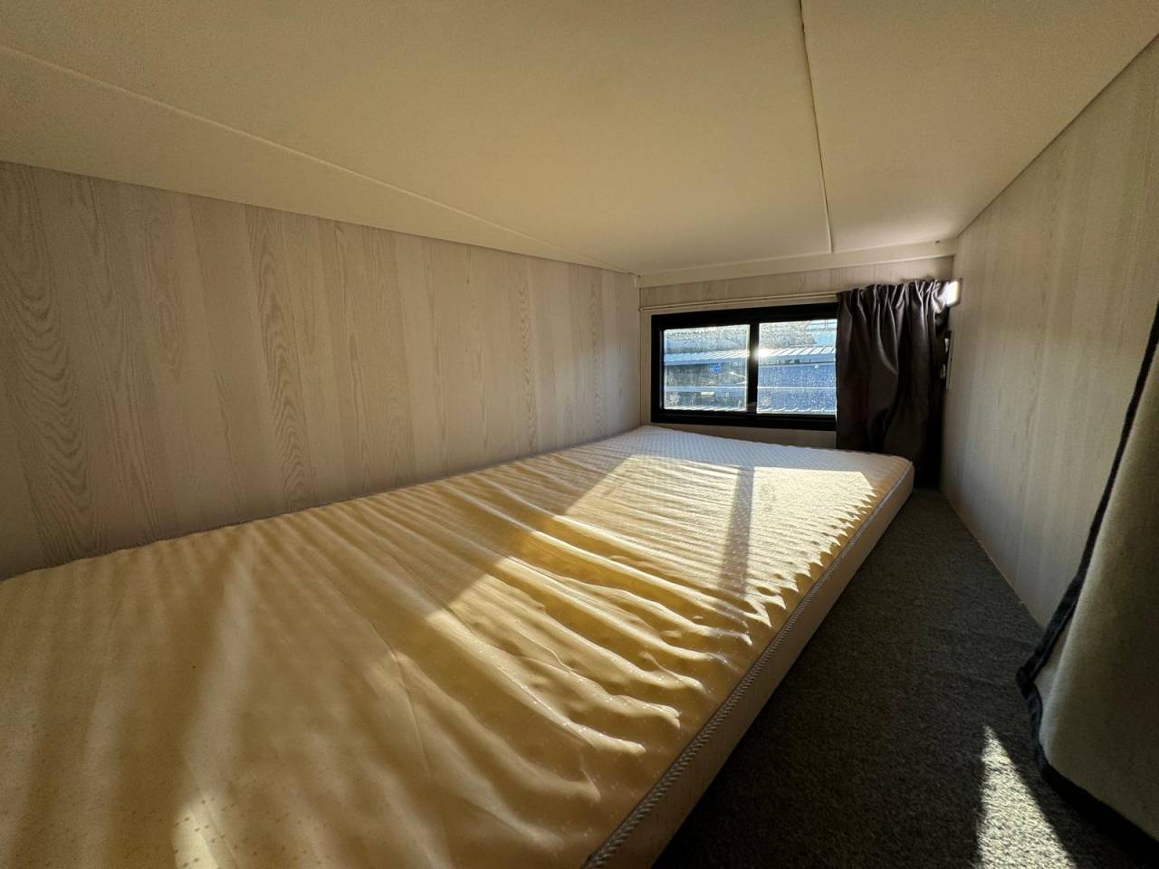 Camion per Cavalli - Altra marca - PAILLARD 2023 Occasione