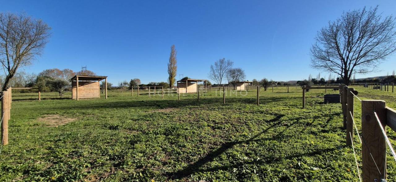 Proprietà equestre In vendita Gard