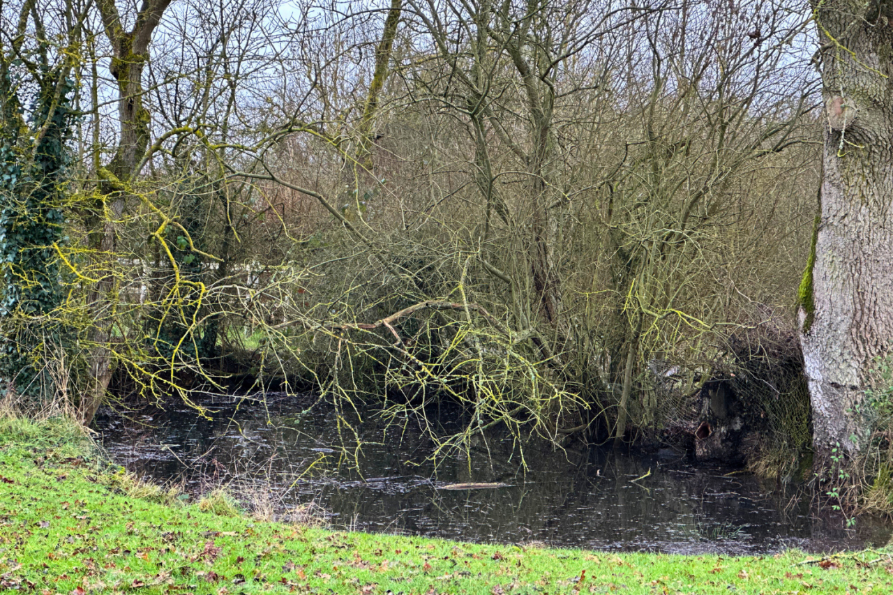 Proprietà equestre In vendita Eure