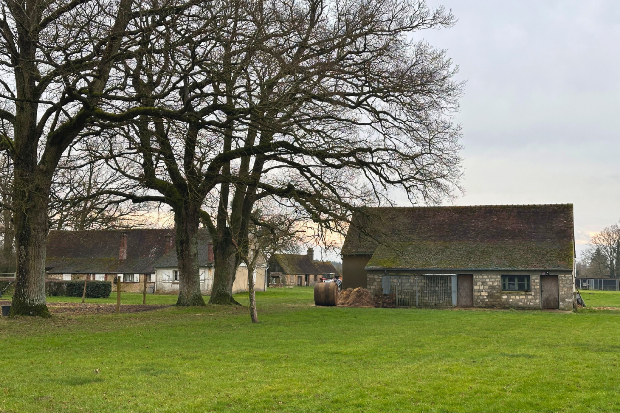 Proprietà equestre In vendita Eure