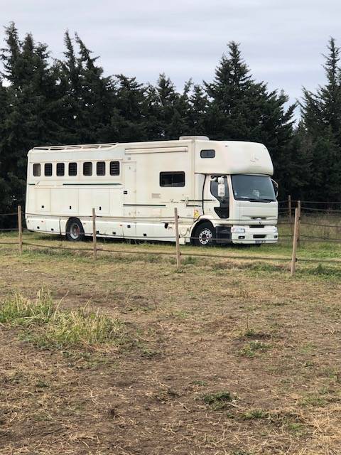 Camion per Cavalli - Altra marca - DONGUY 2000 Occasione