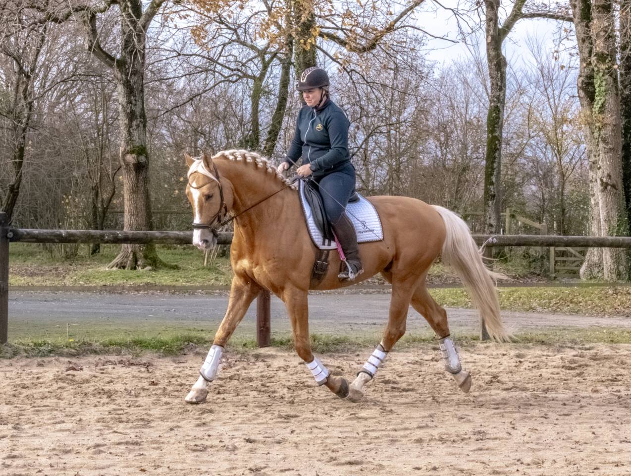 Karat-J  - Wielkopolski  2019 ,  Arktos