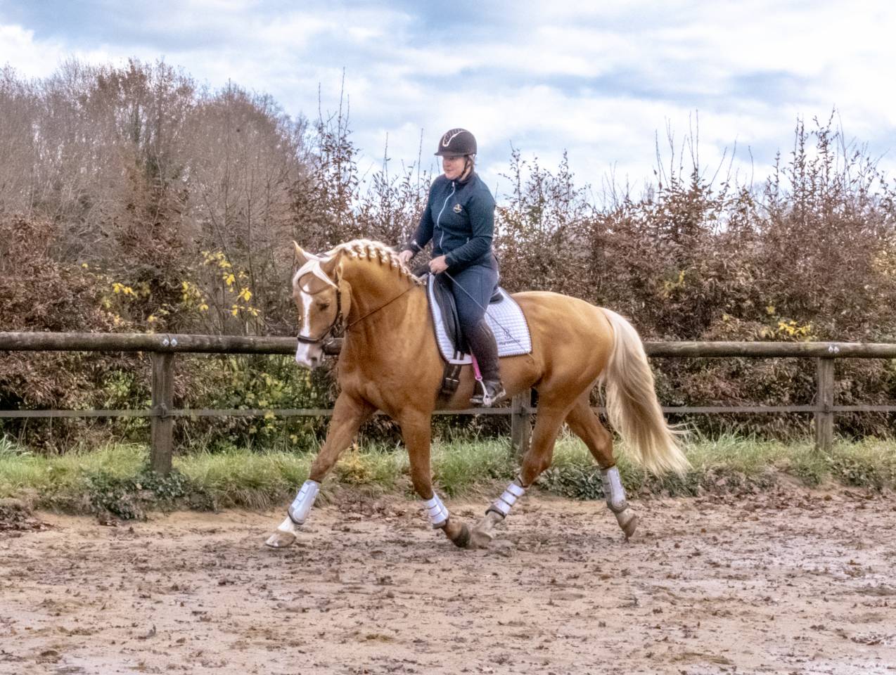 Karat-J  - Wielkopolski  2019 ,  Arktos