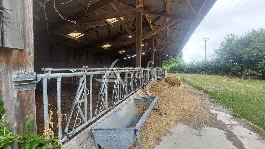 Azienda ovina In vendita Creuse