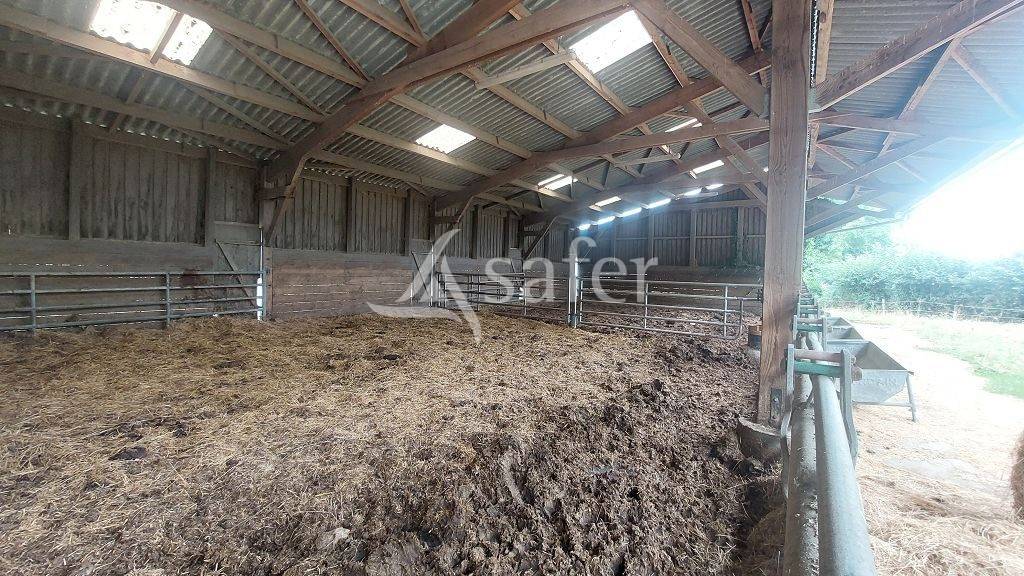 Azienda ovina In vendita Creuse