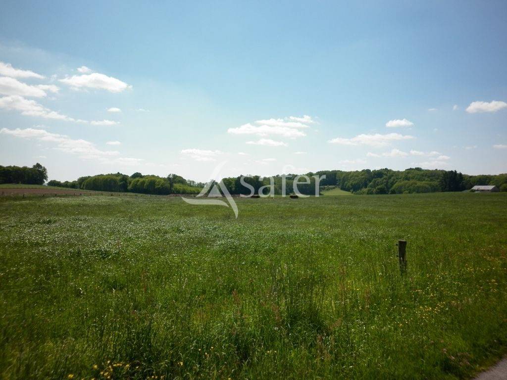 Azienda ovina In vendita Creuse