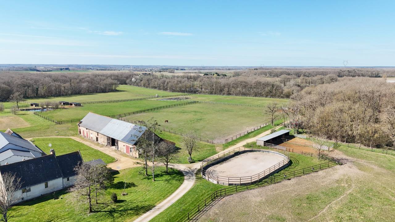 Bella dimora equestre In vendita Indre-et-Loire