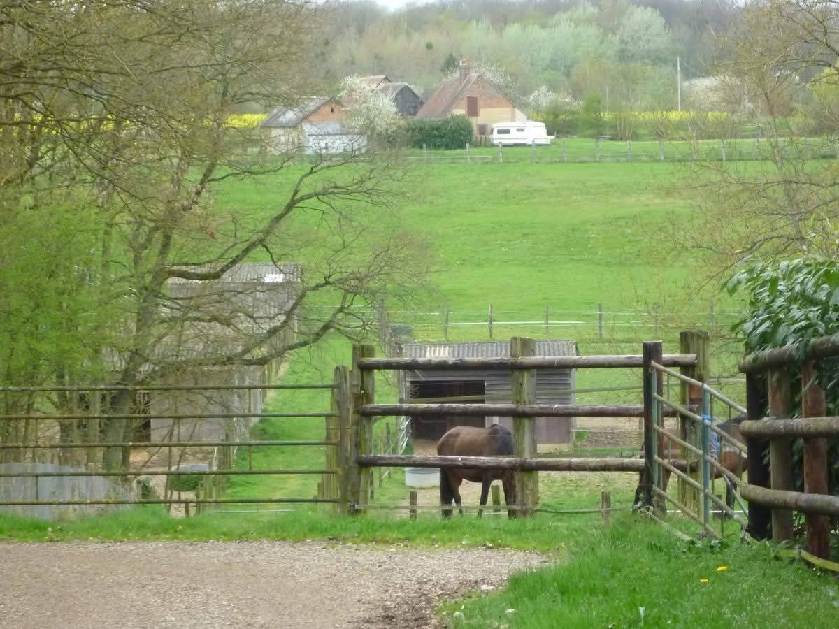 Centro di stagione cavallo In vendita Eure-et-Loir