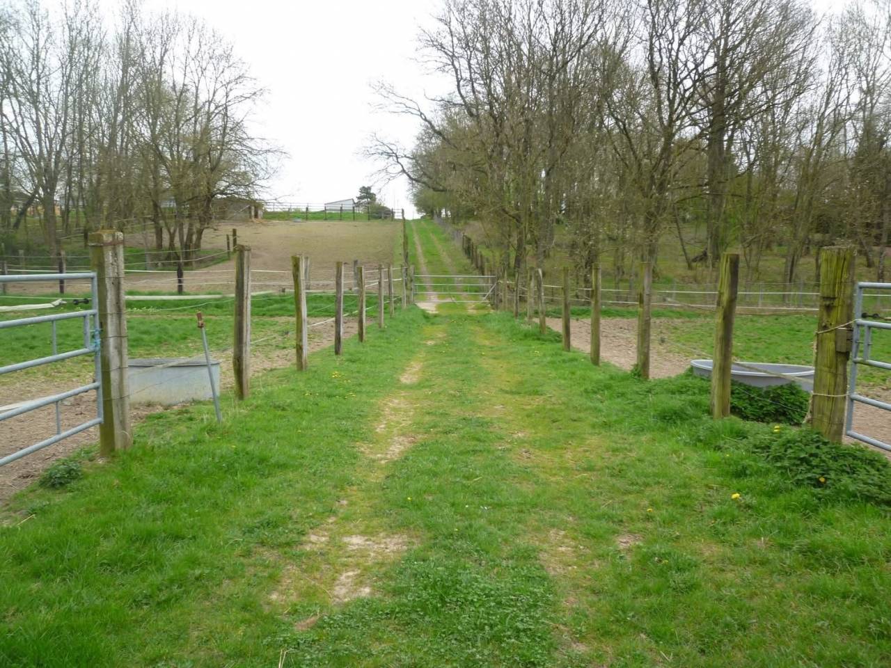 Centro di stagione cavallo In vendita Eure-et-Loir