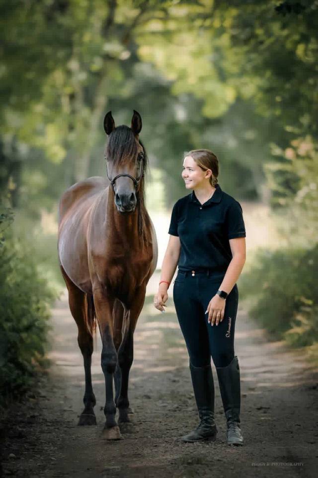 Azzaro de gacia - Purosangue Arabo 2022 ,  LAZEEZ AL SHAHANIA