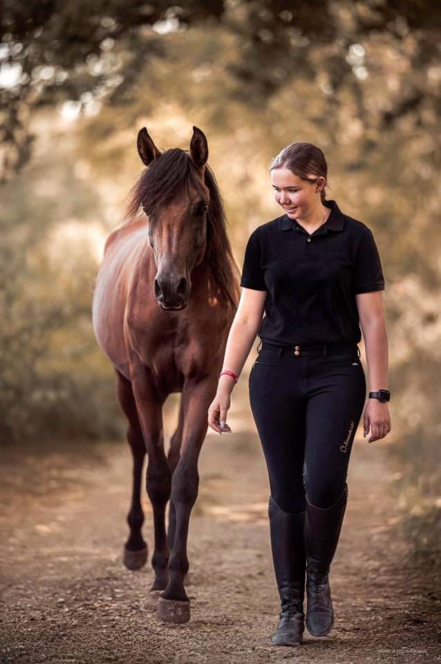 Azzaro de gacia - Purosangue Arabo 2022 ,  LAZEEZ AL SHAHANIA