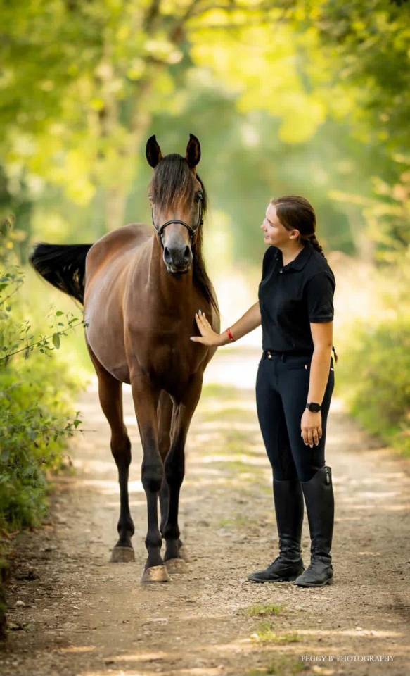Azzaro de gacia - Purosangue Arabo 2022 ,  LAZEEZ AL SHAHANIA
