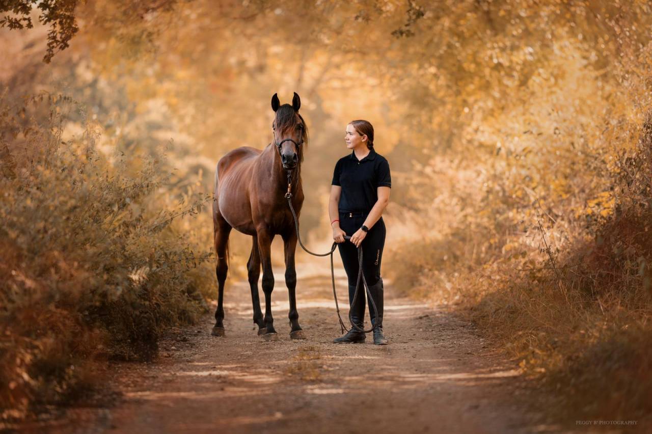 Azzaro de gacia - Purosangue Arabo 2022 ,  LAZEEZ AL SHAHANIA