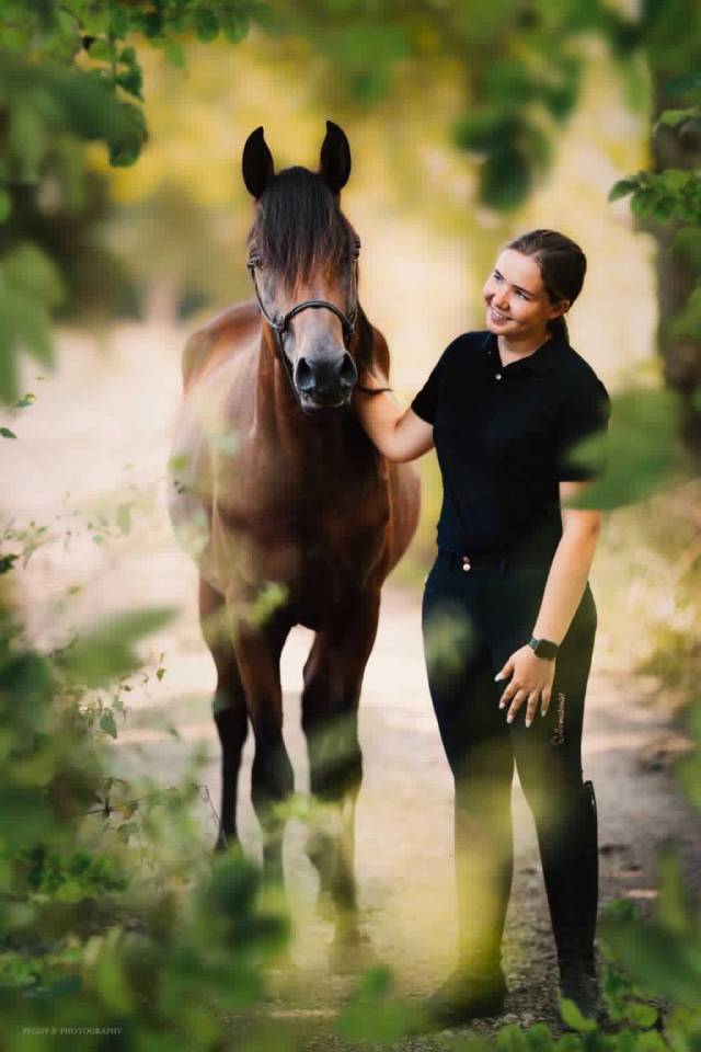 Azzaro de gacia - Purosangue Arabo 2022 ,  LAZEEZ AL SHAHANIA