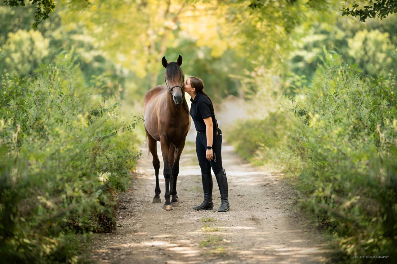 Azzaro de gacia - Purosangue Arabo 2022 ,  LAZEEZ AL SHAHANIA