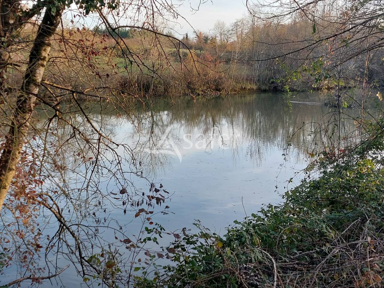 Azienda orticoltrice In vendita Dordogne
