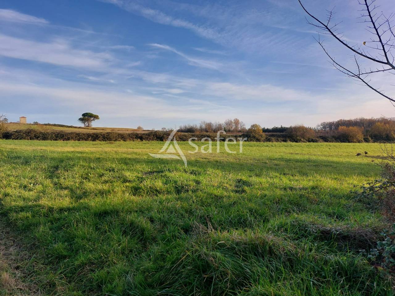 Azienda orticoltrice In vendita Dordogne