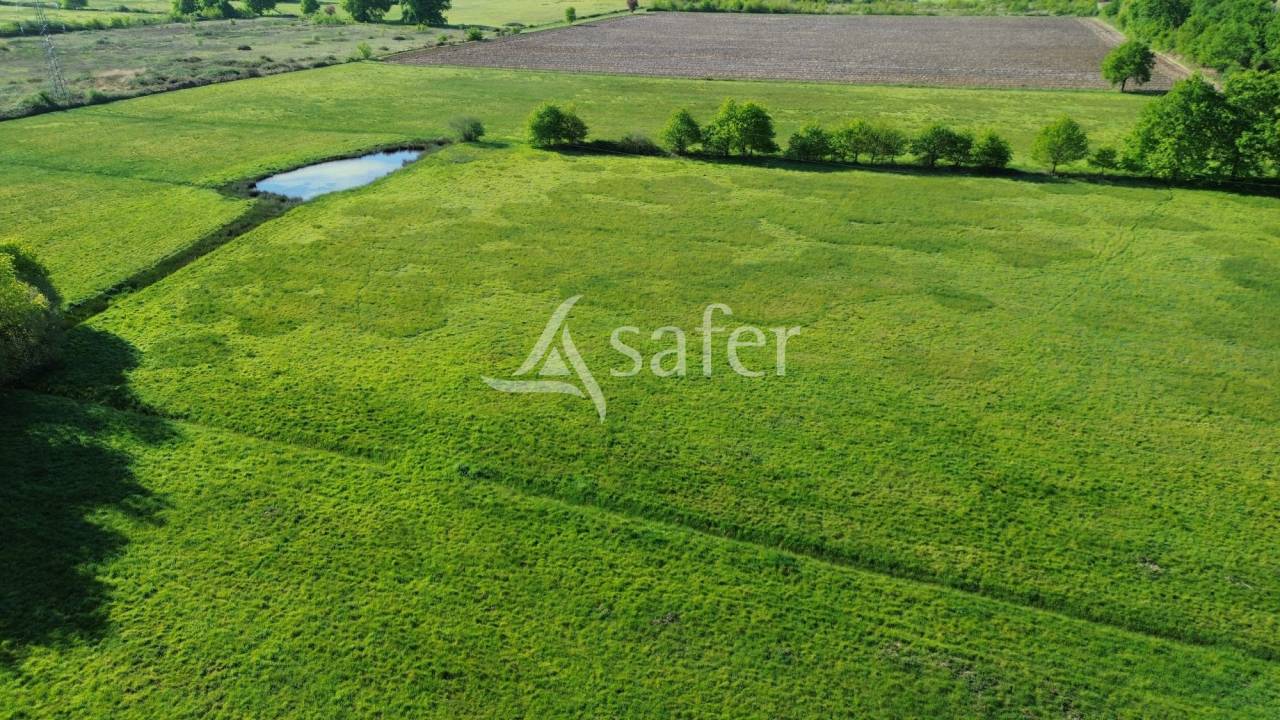 Azienda ovina In vendita Dordogne