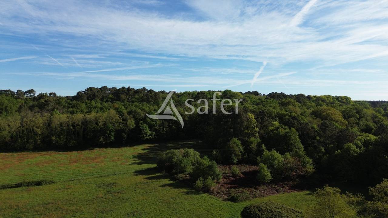 Azienda ovina In vendita Dordogne