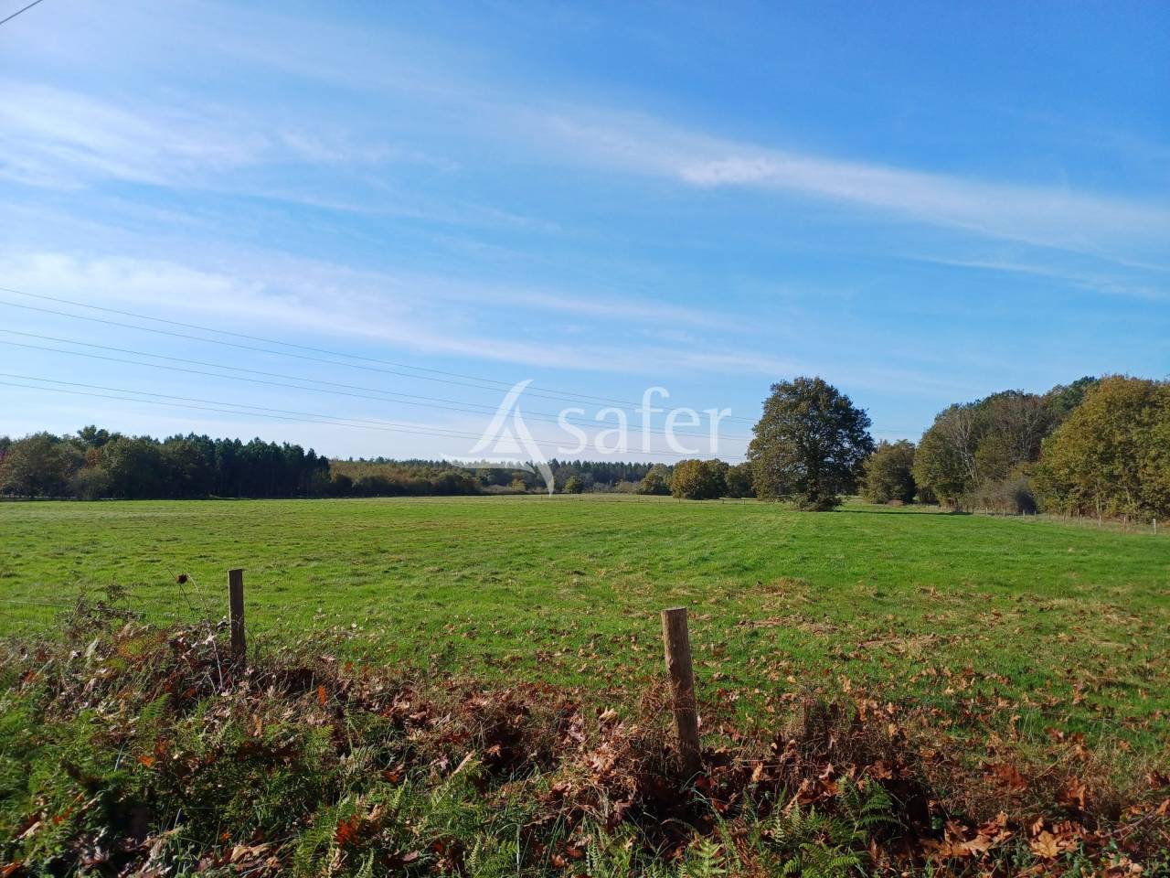 Azienda ovina In vendita Dordogne