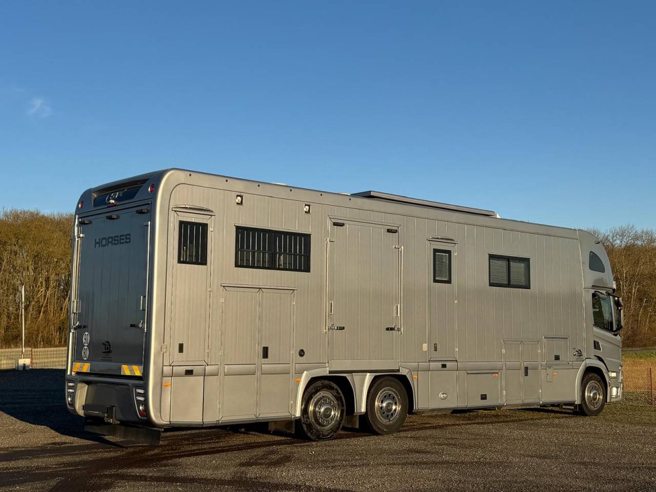 Camion per Cavalli Scania STX 2019 Occasione