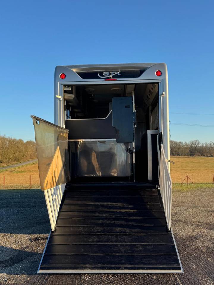 Camion per Cavalli Scania STX 2019 Occasione