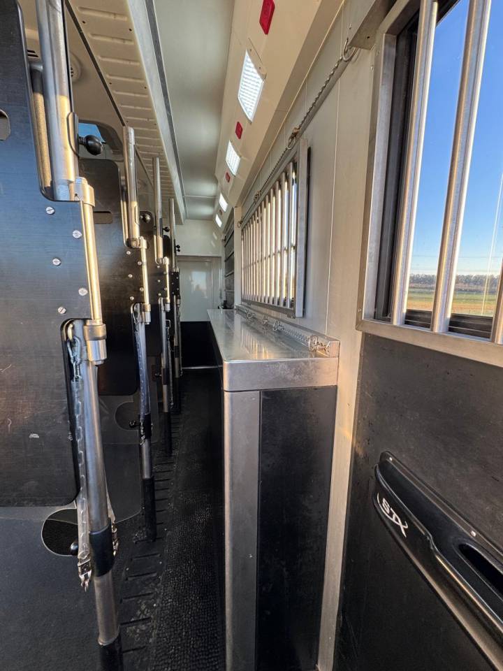 Camion per Cavalli Scania STX 2019 Occasione