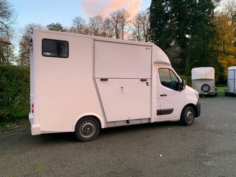 Van per Cavalli AP Petit Master 2022 Occasione