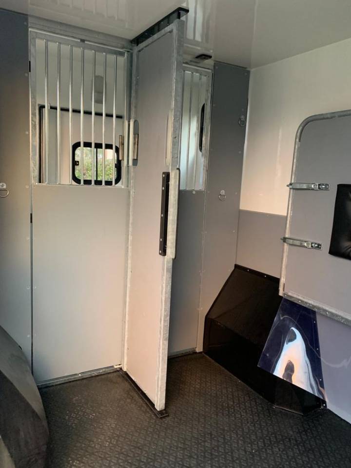 Van per Cavalli AP Petit Master 2022 Occasione