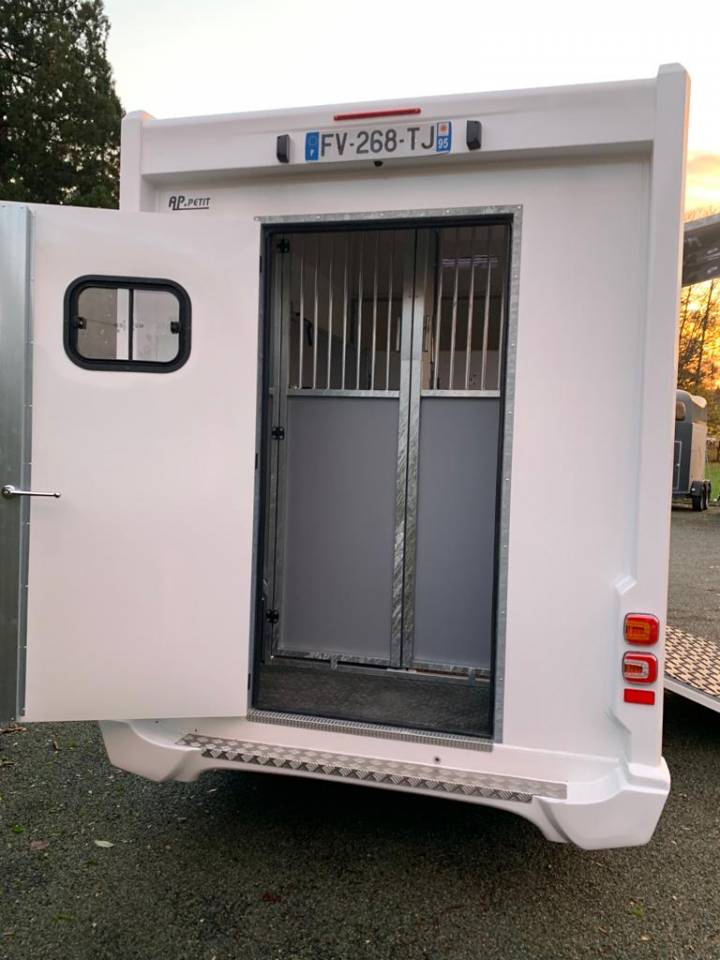 Van per Cavalli AP Petit Master 2022 Occasione