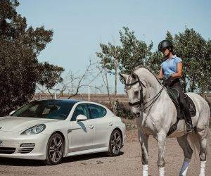 Castrone Lusitano In vendita 2013 Grigio