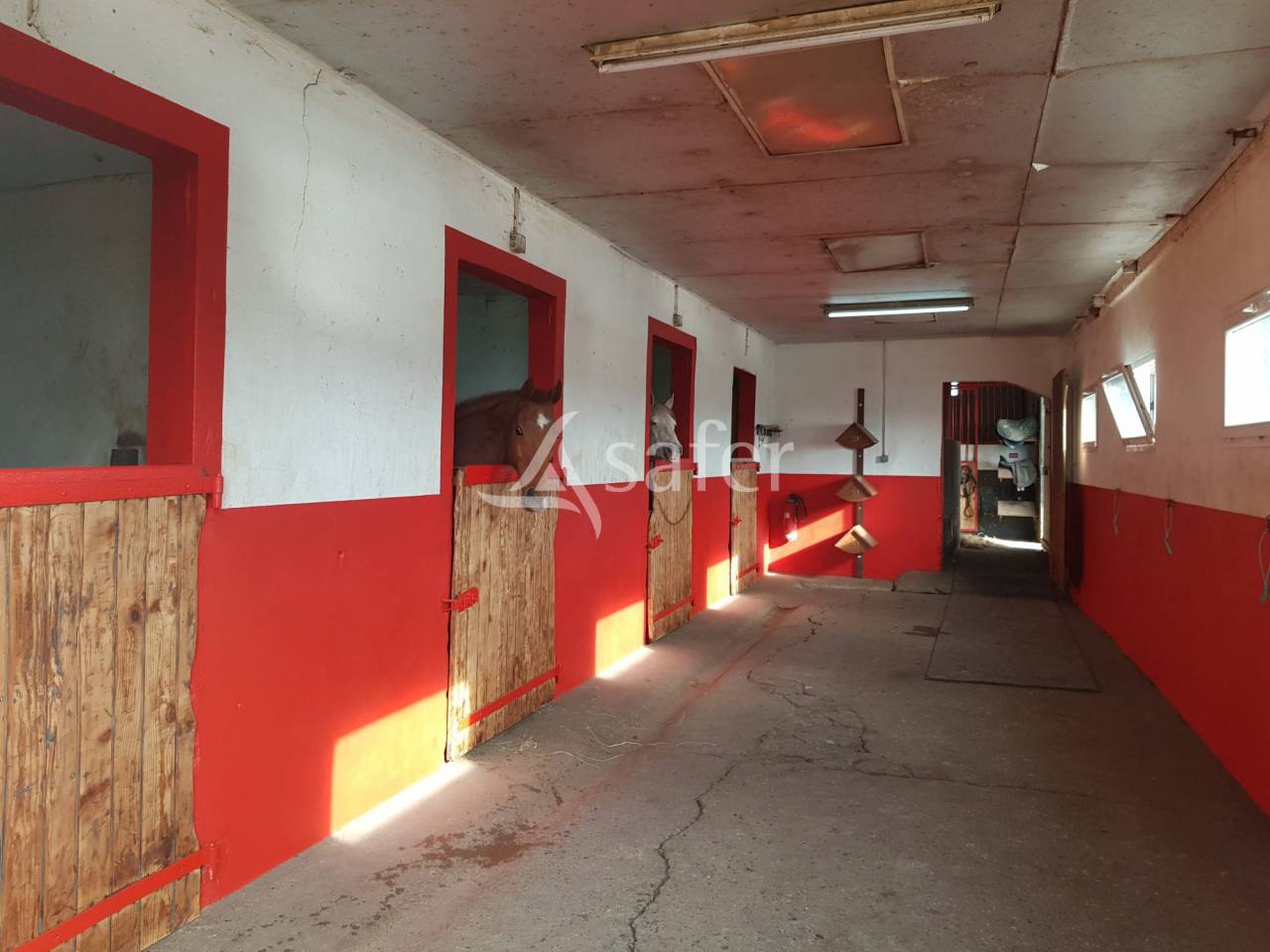 Proprietà equestre In vendita Meurthe-et-Moselle