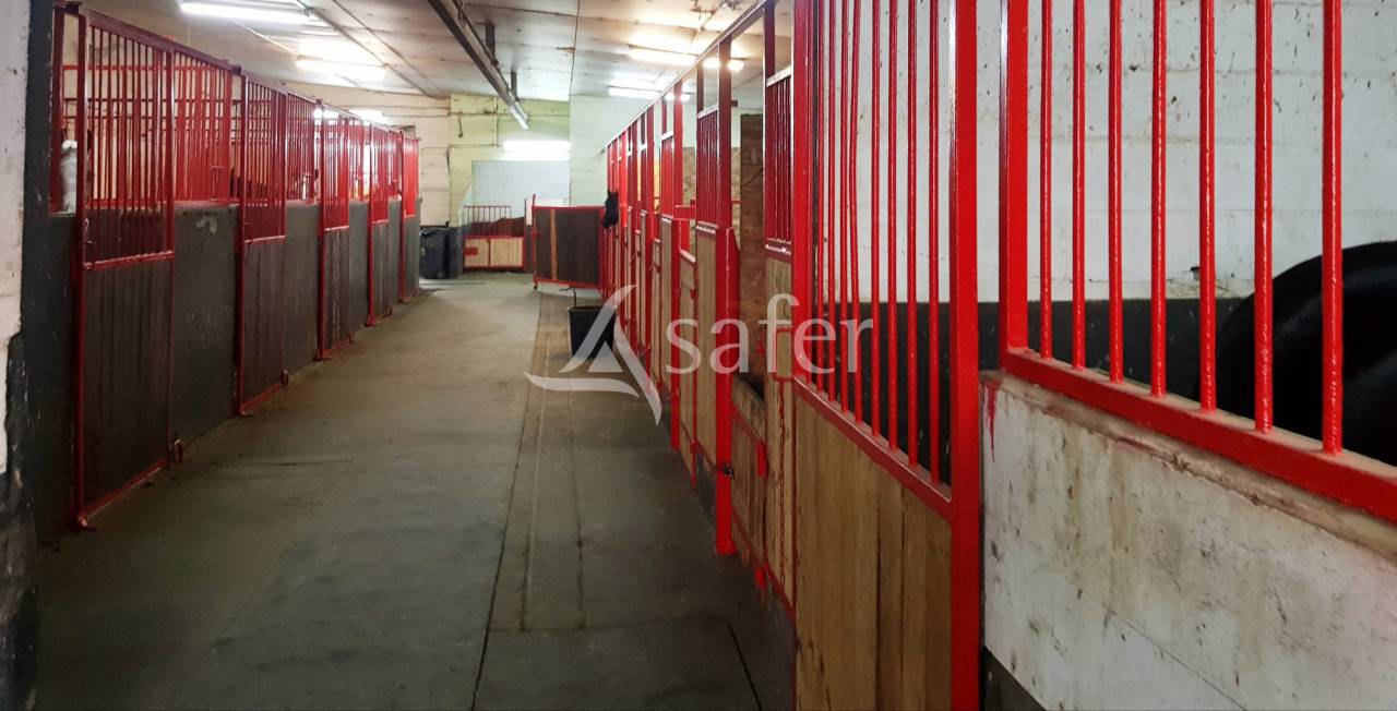 Proprietà equestre In vendita Meurthe-et-Moselle