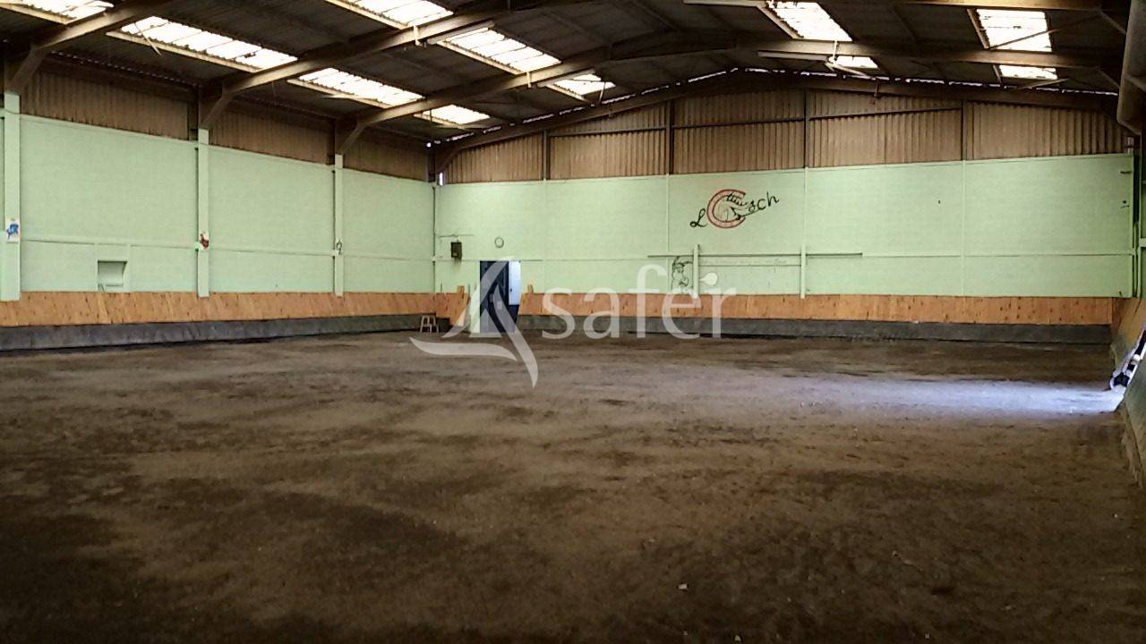 Proprietà equestre In vendita Meurthe-et-Moselle