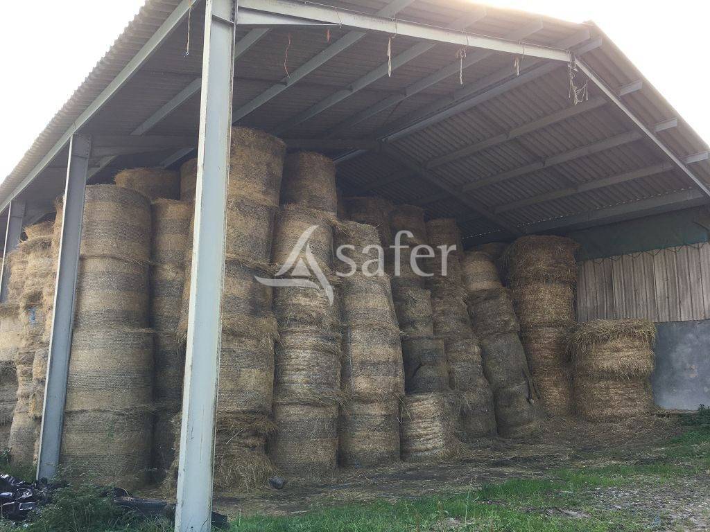 Proprietà rurale In vendita Creuse