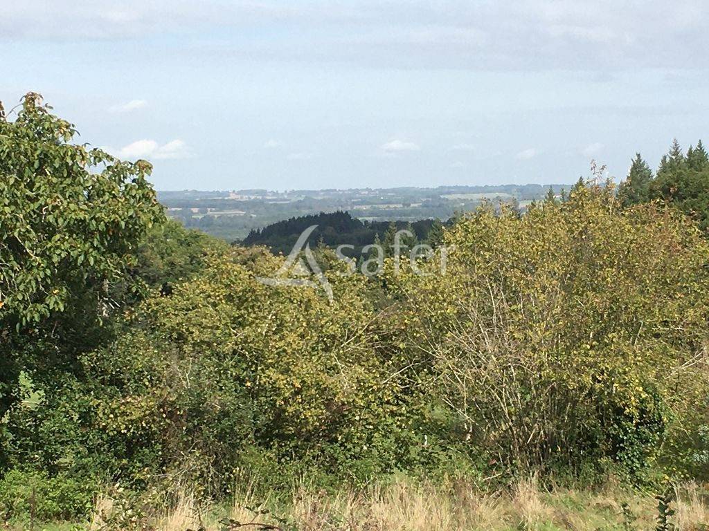 Proprietà rurale In vendita Creuse