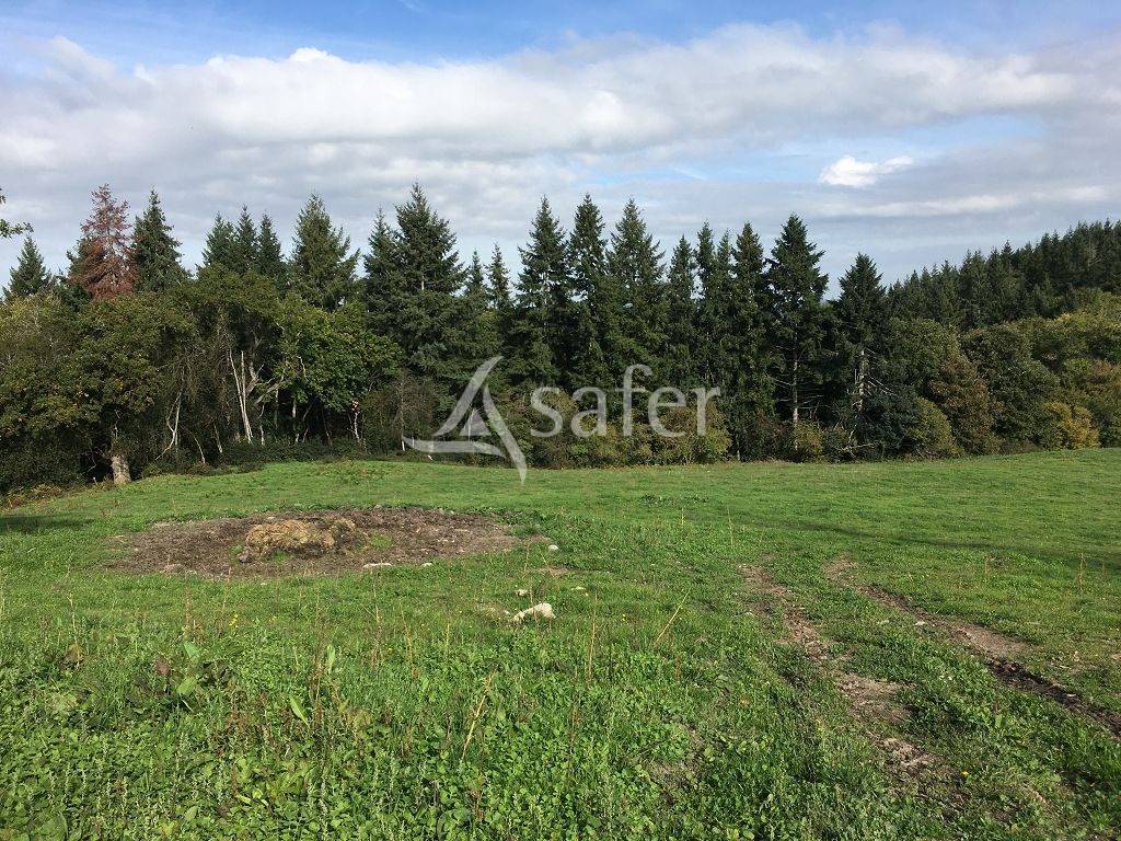 Propriet&agrave; rurale In vendita Creuse