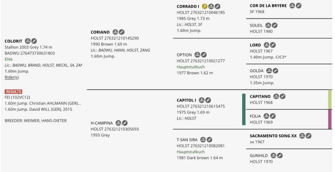 Cavalla Sella Francese In vendita 2021 Sauro ,  Colorit