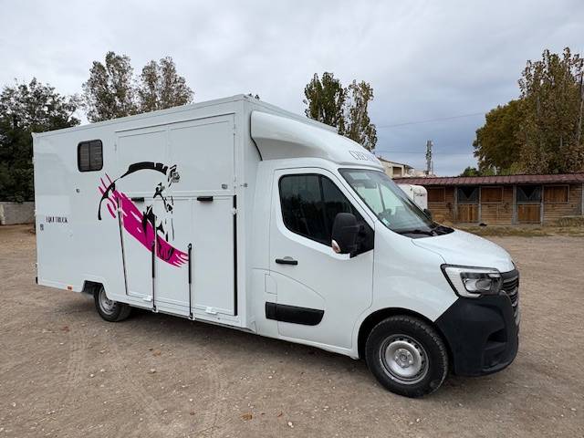 Van per Cavalli Renault  2021 Occasione