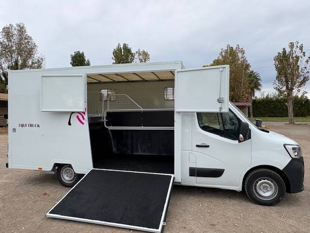 Van per Cavalli Renault  2021 Occasione